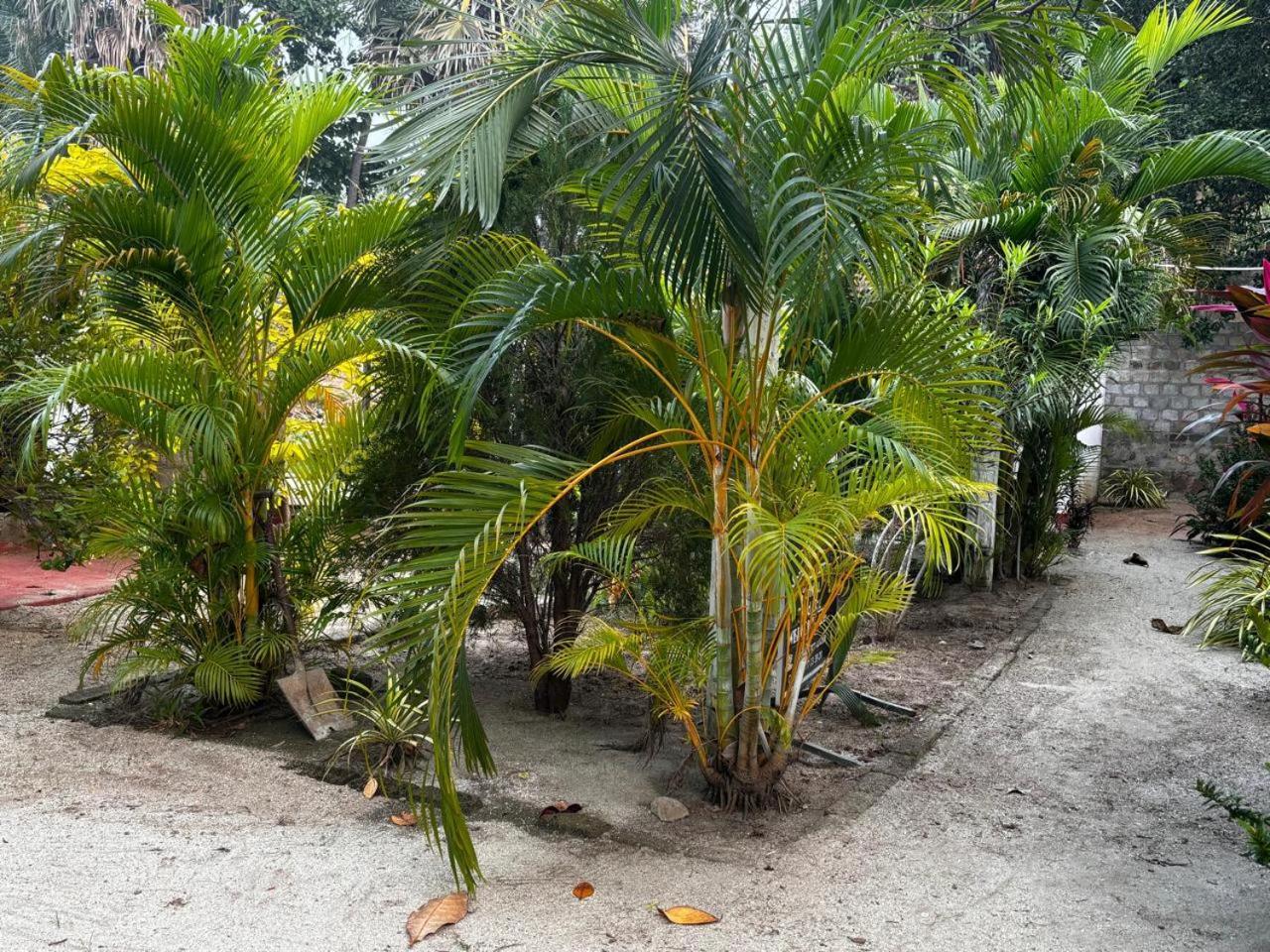 Ubay Guest House Trincomalee Exterior foto