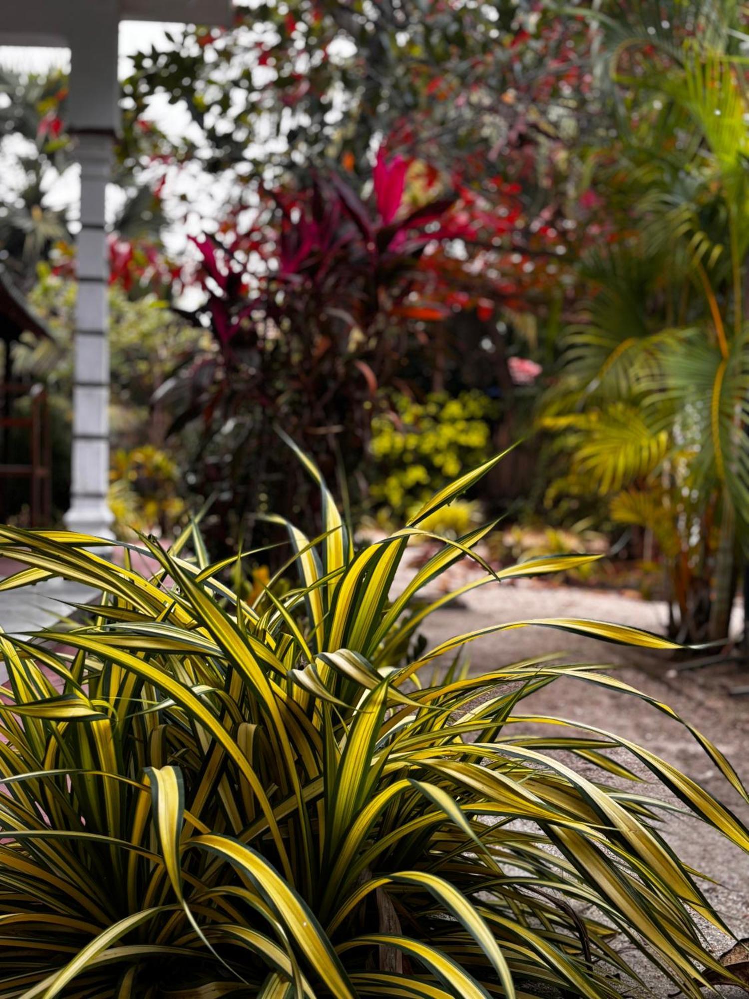 Ubay Guest House Trincomalee Exterior foto