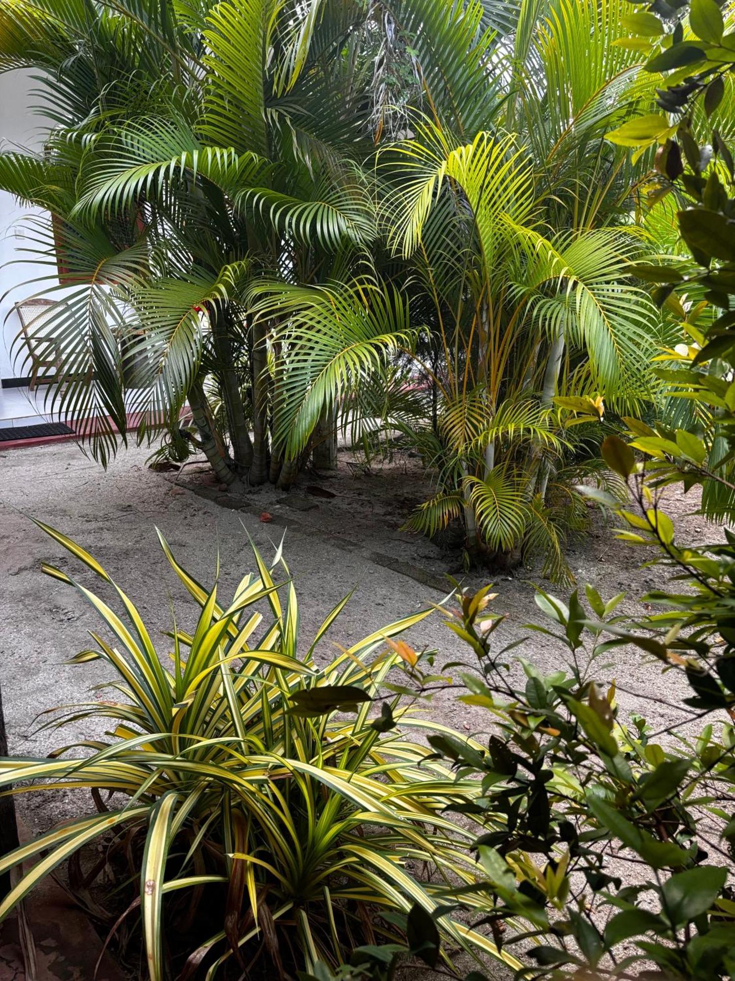 Ubay Guest House Trincomalee Exterior foto