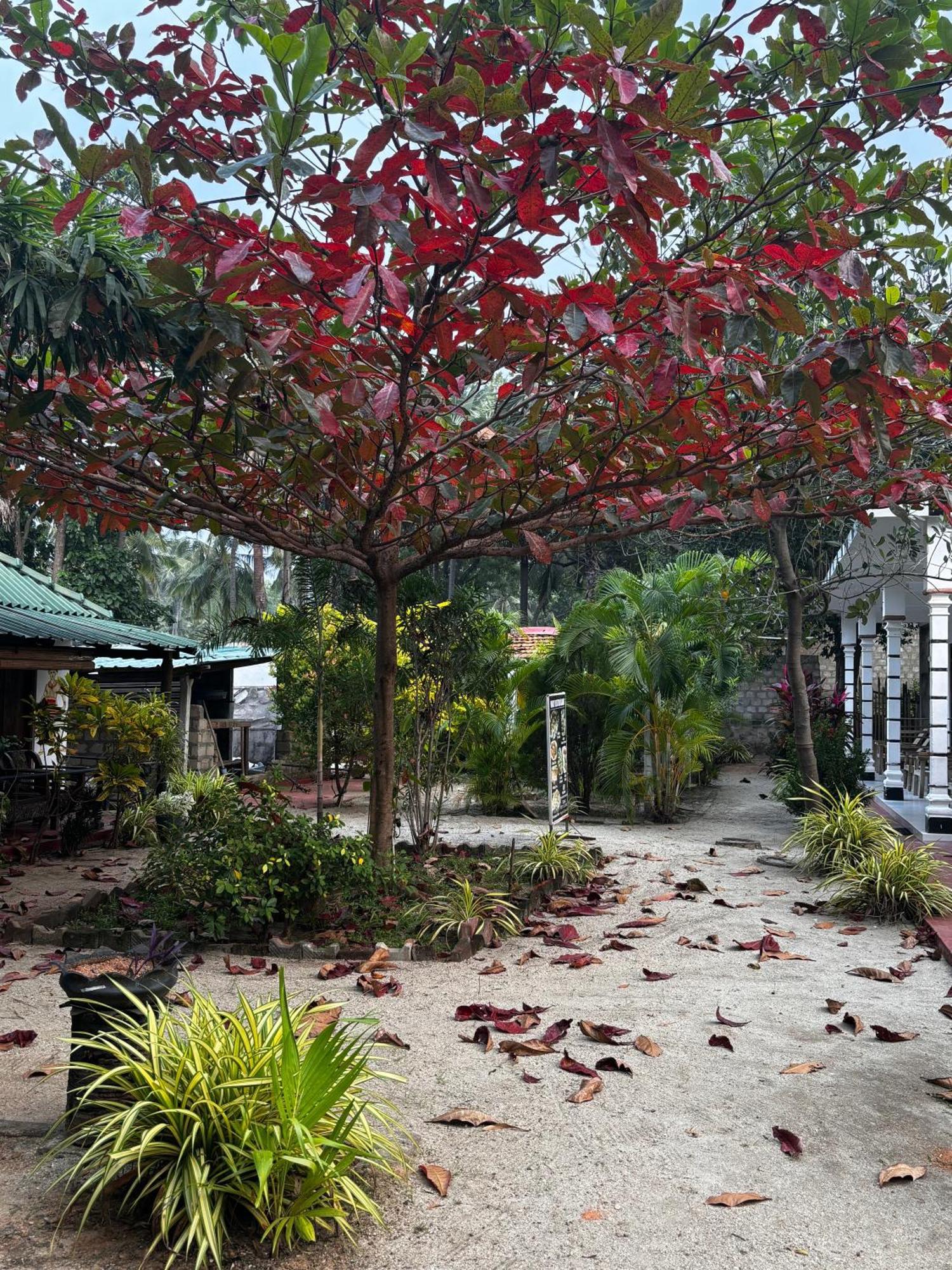 Ubay Guest House Trincomalee Exterior foto